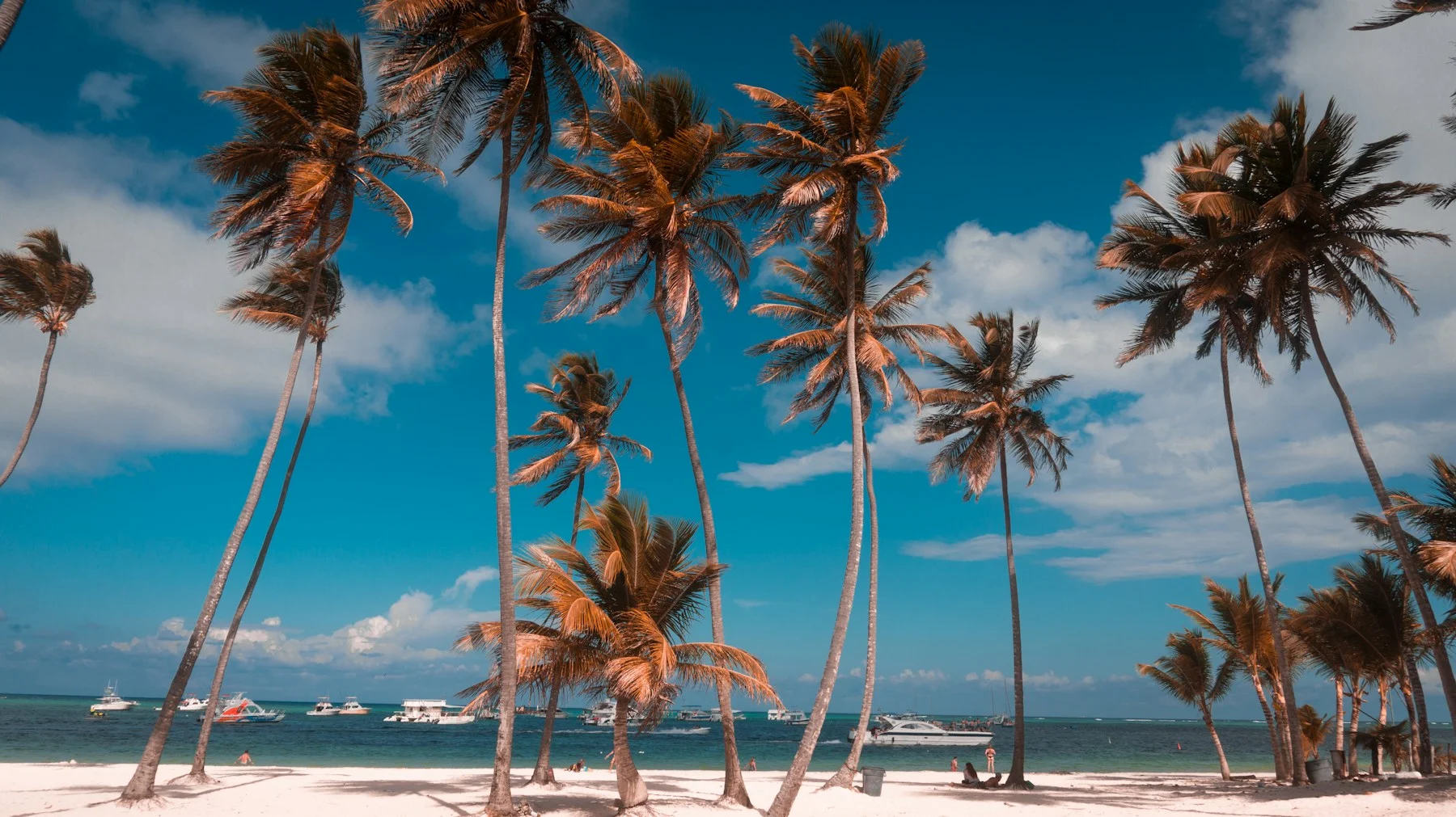 Costa de Punta Cana con palmeras y mar turquesa